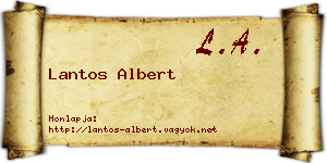 Lantos Albert névjegykártya